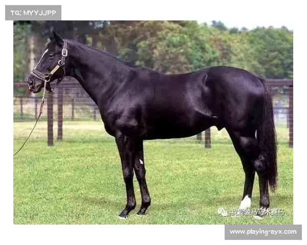 塞维利亚vs赫罗纳因风暴延期至周日，安全第一获官方批准